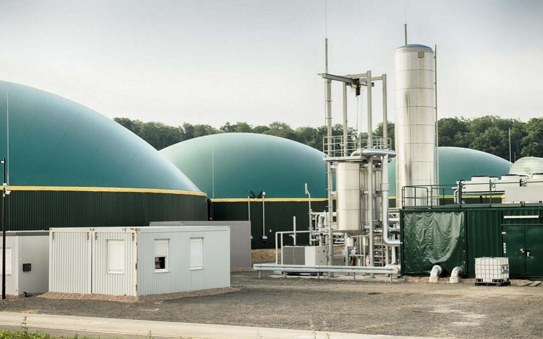 Badania substratów w biogazowniach: jakie parametry są istotne?